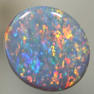 SOLID SEMI BLACK OPAL Pretty Floral pattern with reds and orange over blue